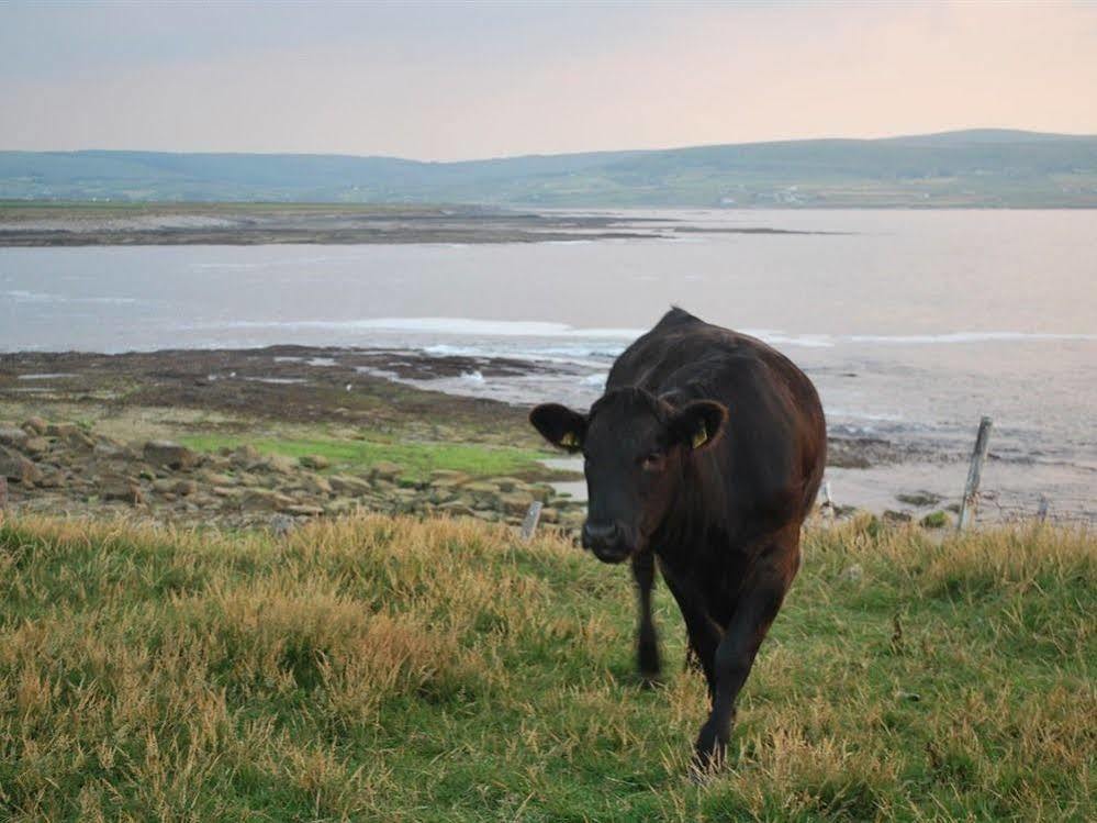 Creevagh Heights B&B Killala Esterno foto